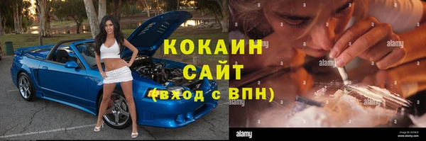 PSILOCYBIN Алексеевка