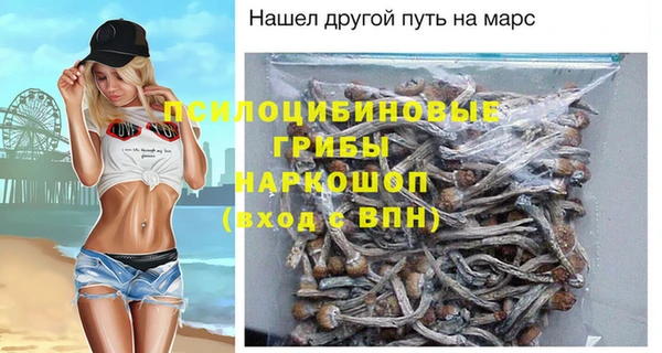 PSILOCYBIN Алексеевка