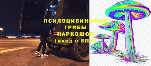 PSILOCYBIN Алексеевка